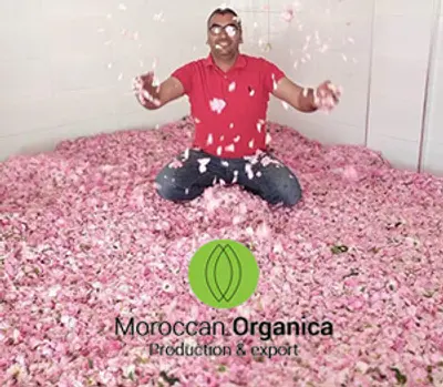 Naturally dried Moroccan rosebuds and petals for sustainable skincare